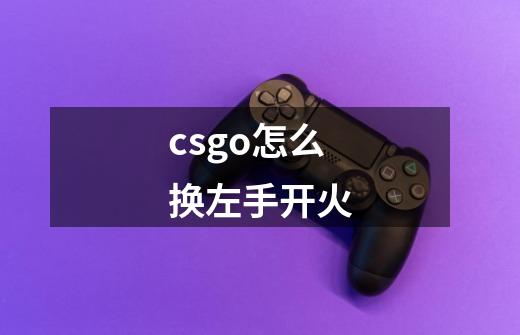 csgo怎么换左手开火-第1张-游戏资讯-龙启科技