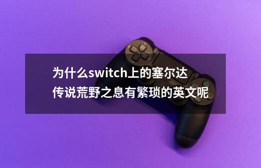 为什么switch上的塞尔达传说荒野之息有繁琐的英文呢-第1张-游戏资讯-龙启科技