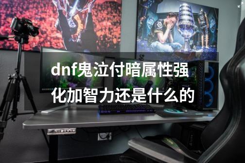 dnf鬼泣付暗属性强化加智力还是什么的-第1张-游戏资讯-龙启科技