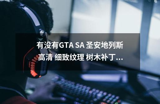 有没有GTA SA 圣安地列斯 高清 细致纹理 树木补丁 或者MOD 原来的大树太假了-第1张-游戏资讯-龙启科技