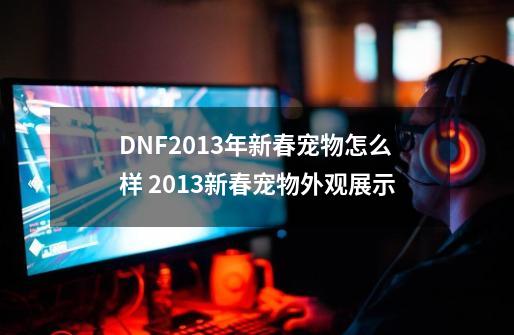 DNF2013年新春宠物怎么样 2013新春宠物外观展示-第1张-游戏资讯-龙启科技