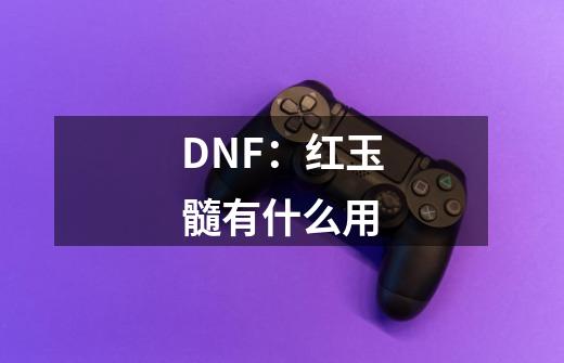 DNF：红玉髓有什么用-第1张-游戏资讯-龙启科技