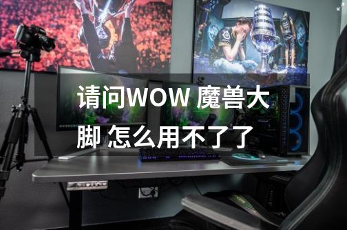 请问WOW 魔兽大脚 怎么用不了了-第1张-游戏资讯-龙启科技