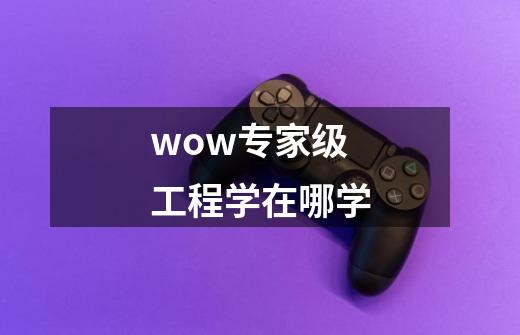 wow专家级工程学在哪学-第1张-游戏资讯-龙启科技