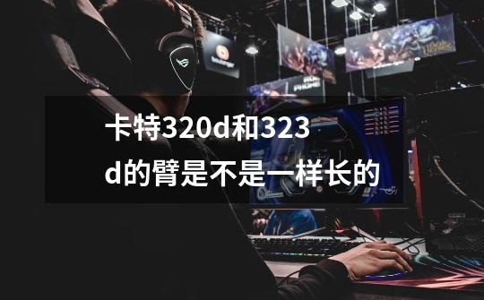 卡特320d和323d的臂是不是一样长的-第1张-游戏资讯-龙启科技