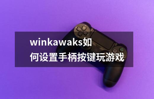 winkawaks如何设置手柄按键玩游戏-第1张-游戏资讯-龙启科技