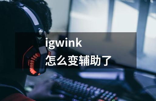 igwink怎么变辅助了-第1张-游戏资讯-龙启科技