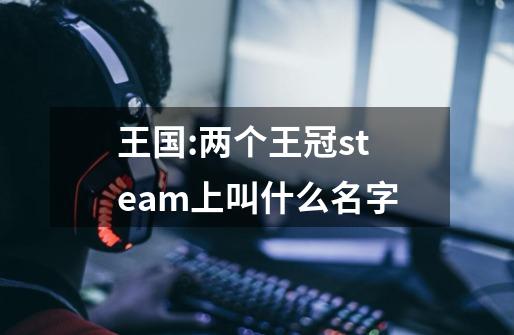 王国:两个王冠steam上叫什么名字-第1张-游戏资讯-龙启科技