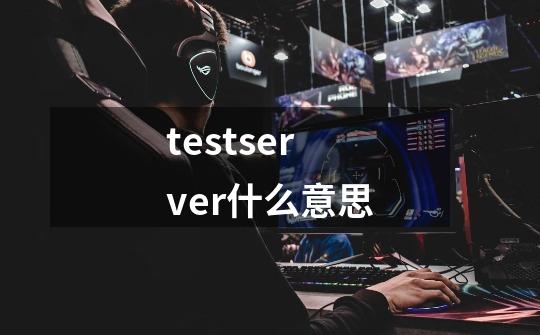 testserver什么意思-第1张-游戏资讯-龙启科技