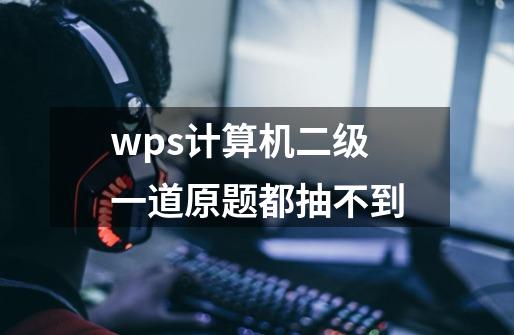 wps计算机二级一道原题都抽不到-第1张-游戏资讯-龙启科技