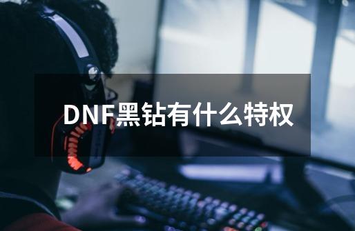 DNF黑钻有什么特权-第1张-游戏资讯-龙启科技