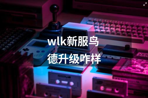 wlk新服鸟德升级咋样-第1张-游戏资讯-龙启科技