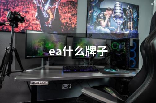 ea什么牌子-第1张-游戏资讯-龙启科技