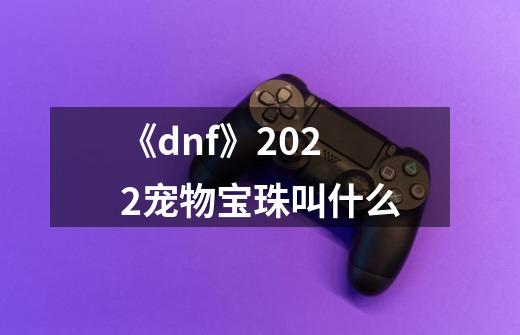 《dnf》2022宠物宝珠叫什么-第1张-游戏资讯-龙启科技