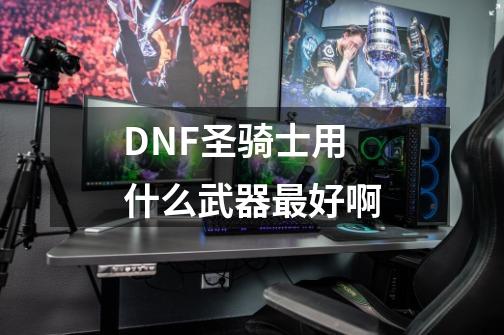 DNF圣骑士用什么武器最好啊-第1张-游戏资讯-龙启科技