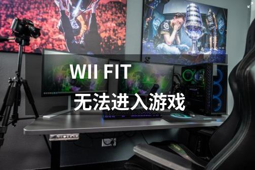 WII FIT 无法进入游戏-第1张-游戏资讯-龙启科技