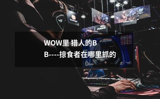 WOW里 猎人的BB----掠食者在哪里抓的-第1张-游戏资讯-龙启科技