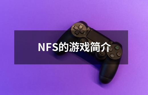 NFS的游戏简介-第1张-游戏资讯-龙启科技