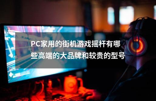 PC家用的街机游戏摇杆有哪些高端的大品牌和较贵的型号-第1张-游戏资讯-龙启科技