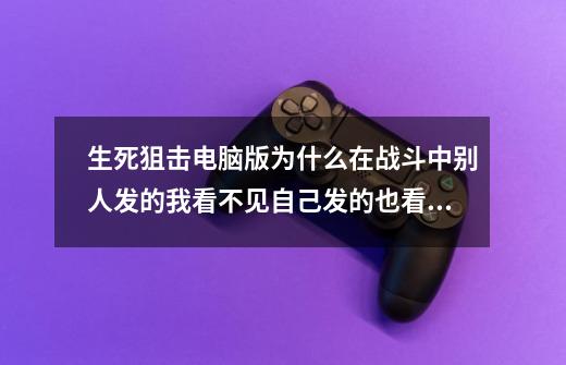 生死狙击电脑版为什么在战斗中别人发的我看不见自己发的也看不见-第1张-游戏资讯-龙启科技