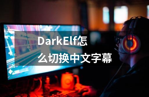 DarkElf怎么切换中文字幕-第1张-游戏资讯-龙启科技