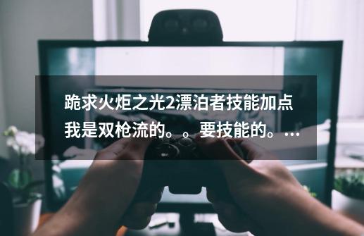 跪求火炬之光2漂泊者技能加点 我是双枪流的。。要技能的。。-第1张-游戏资讯-龙启科技