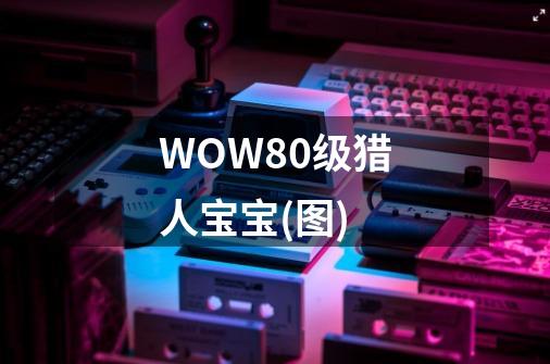 WOW80级猎人宝宝(图)-第1张-游戏资讯-龙启科技