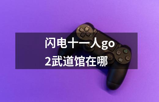 闪电十一人go2武道馆在哪-第1张-游戏资讯-龙启科技