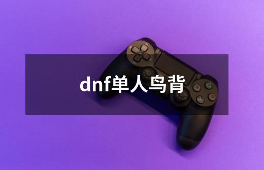 dnf单人鸟背-第1张-游戏资讯-龙启科技