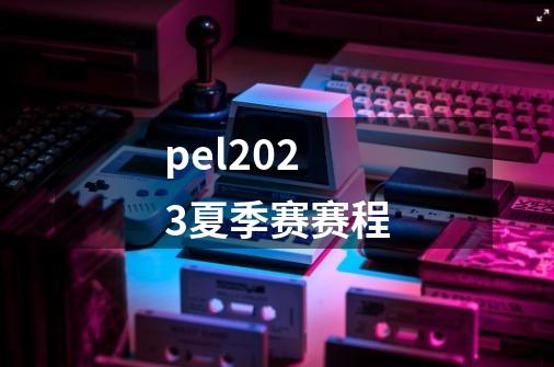 pel2023夏季赛赛程-第1张-游戏资讯-龙启科技