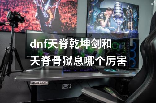 dnf天脊乾坤剑和天脊骨狱息哪个厉害-第1张-游戏资讯-龙启科技