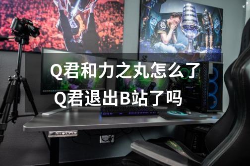 Q君和力之丸怎么了 Q君退出B站了吗-第1张-游戏资讯-龙启科技