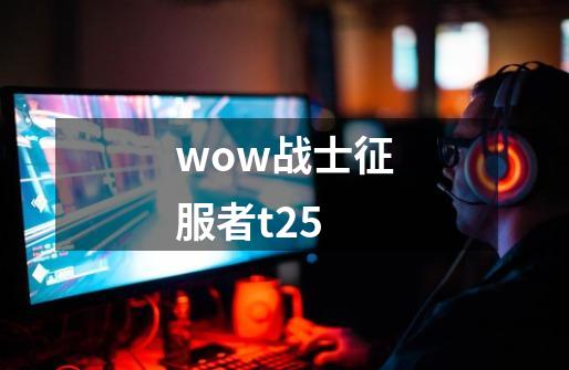 wow战士征服者t2.5-第1张-游戏资讯-龙启科技