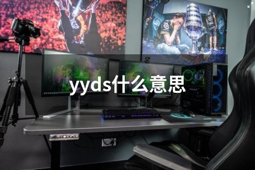 yyds什么意思-第1张-游戏资讯-龙启科技