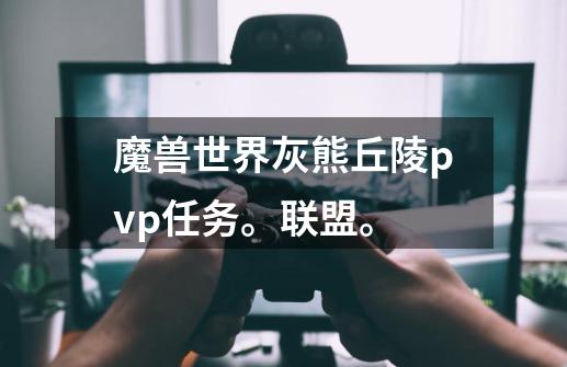 魔兽世界灰熊丘陵pvp任务。联盟。-第1张-游戏资讯-龙启科技