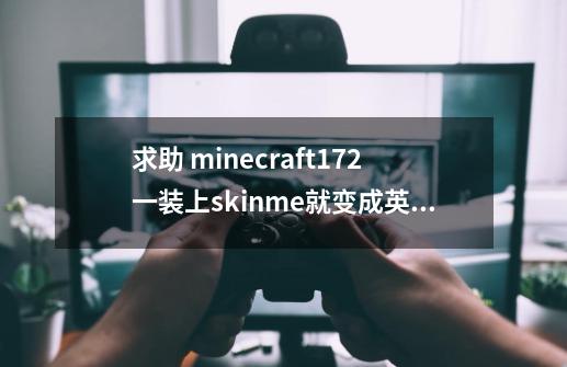 求助 minecraft1.7.2一装上skinme就变成英文了，没装之前是中文的-第1张-游戏资讯-龙启科技