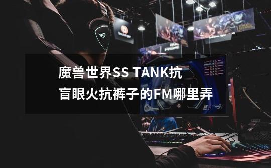 魔兽世界SS TANK抗盲眼火抗裤子的FM哪里弄-第1张-游戏资讯-龙启科技