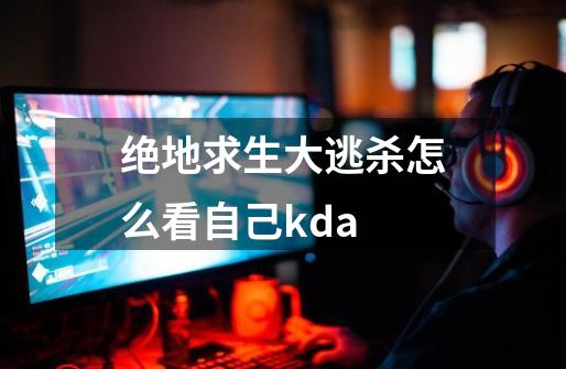 绝地求生大逃杀怎么看自己kda-第1张-游戏资讯-龙启科技