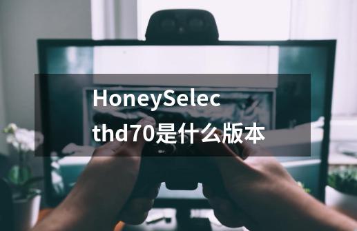 HoneySelecthd7.0是什么版本-第1张-游戏资讯-龙启科技