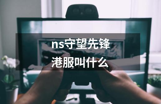 ns守望先锋港服叫什么-第1张-游戏资讯-龙启科技