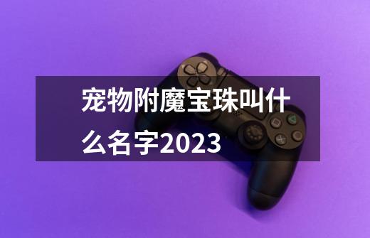 宠物附魔宝珠叫什么名字2023-第1张-游戏资讯-龙启科技