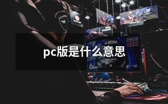 pc版是什么意思-第1张-游戏资讯-龙启科技