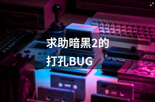 求助暗黑2的打孔BUG-第1张-游戏资讯-龙启科技