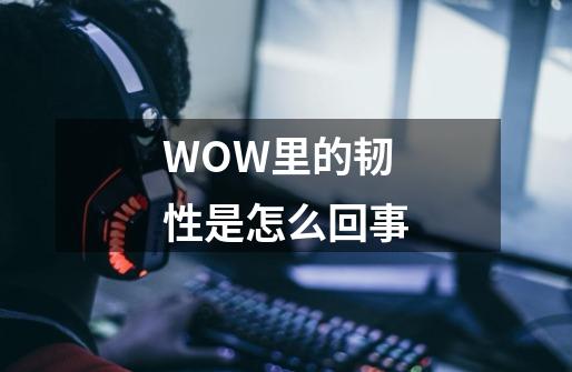 WOW里的韧性是怎么回事-第1张-游戏资讯-龙启科技