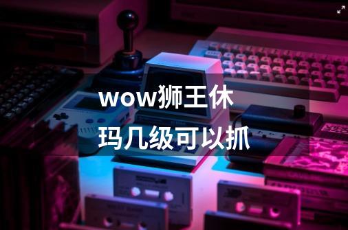 wow狮王休玛几级可以抓-第1张-游戏资讯-龙启科技