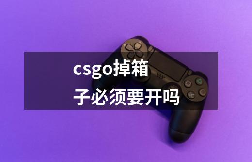 csgo掉箱子必须要开吗-第1张-游戏资讯-龙启科技