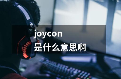 joycon是什么意思啊-第1张-游戏资讯-龙启科技