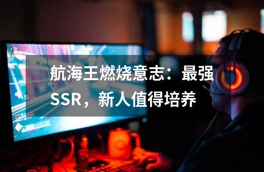 航海王燃烧意志：最强SSR，新人值得培养-第1张-游戏资讯-龙启科技