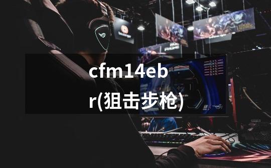 cfm14ebr(狙击步枪)-第1张-游戏资讯-龙启科技