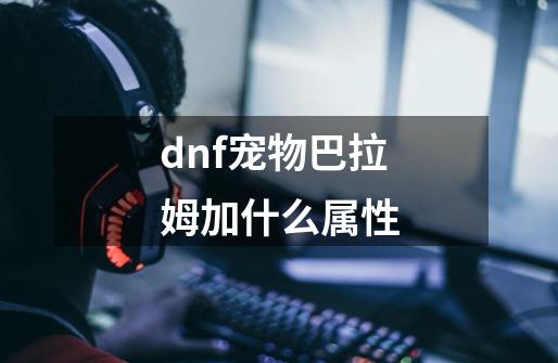 dnf宠物巴拉姆加什么属性-第1张-游戏资讯-龙启科技